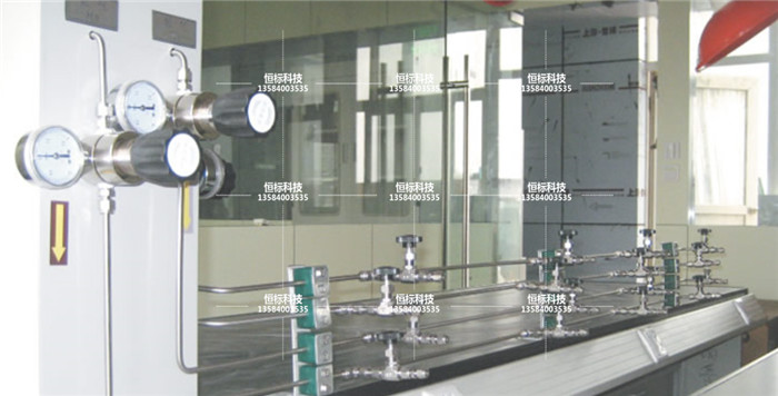 1559202020345803.jpg 實(shí)驗(yàn)室——?dú)怏w管路.jpg